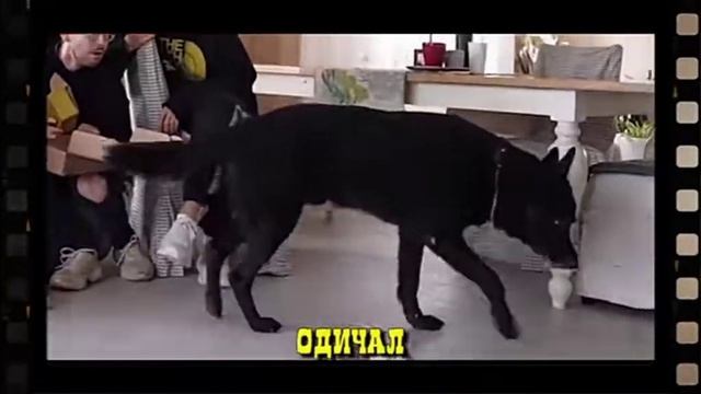 Бен съел А4 чтооооооо клип 2022 год смотреть онлайн