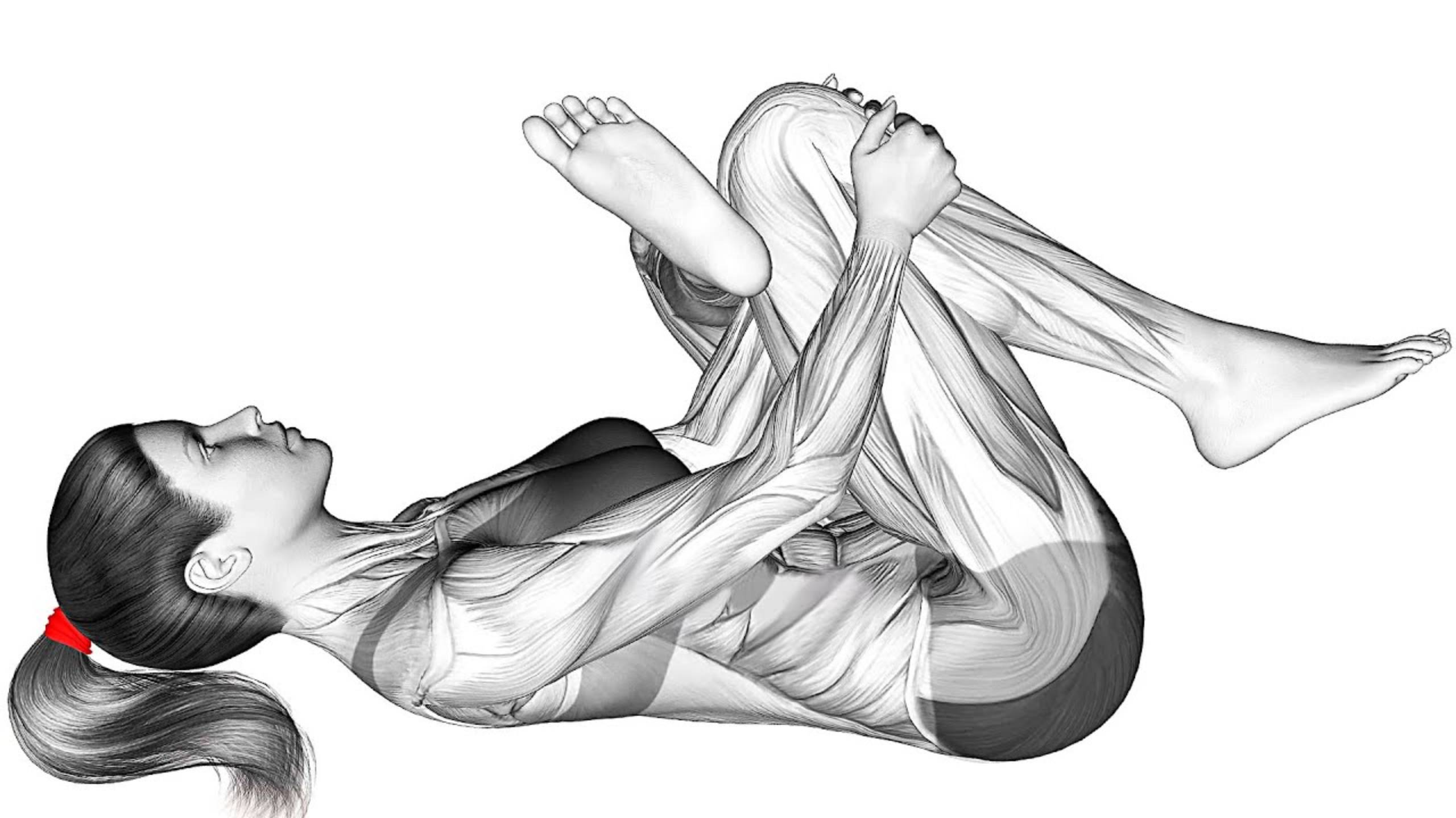 Утренняя тренировка Дома смотреть онлайн