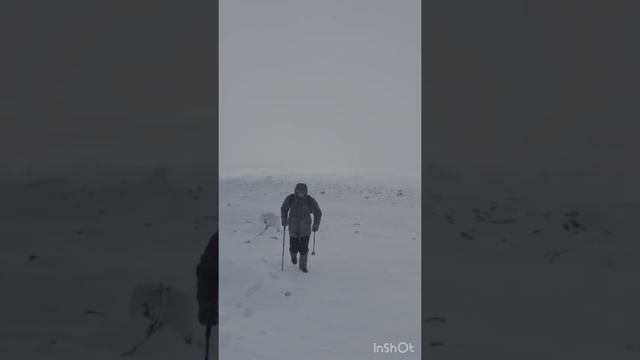 Большой шелом  2.0