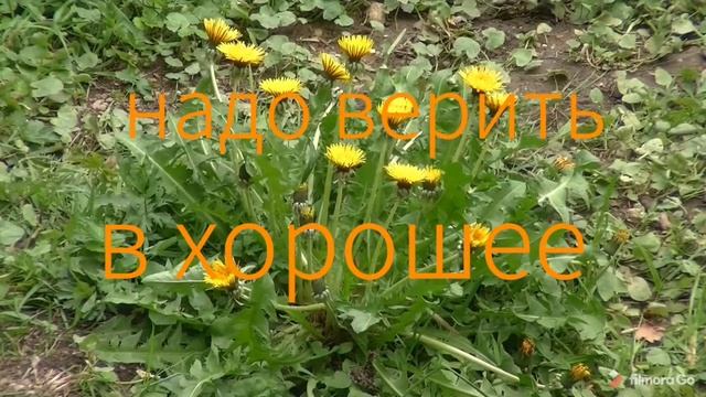 Надо верить в Хорошее... 💝💝💝 смотреть онлайн