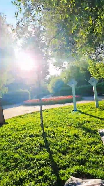 если ты молоток,то есть сэт-менеджер то все кругом каж? смотреть онлайн