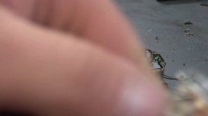 Когда Лебёдка крутит в одну сторону!!!