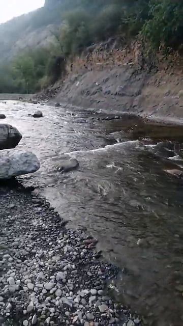 Бросаем камни. #река #вода смотреть онлайн