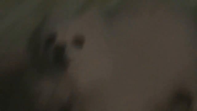 САБАЧКА ТАХА))))0 V 3-DE HAIGH KWALITI