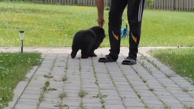Мое измененное видео