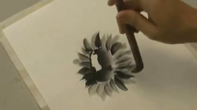 Подсолнух