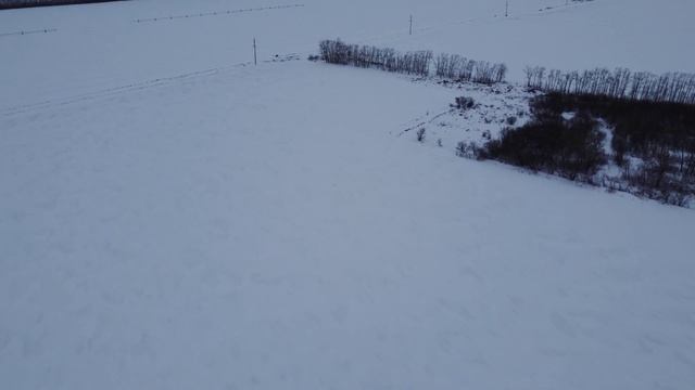 DJI mini 2, пос. Загородный 2. смотреть онлайн