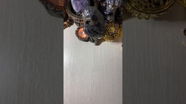 ФЕЛИКСА Tarot в прямом эфире!