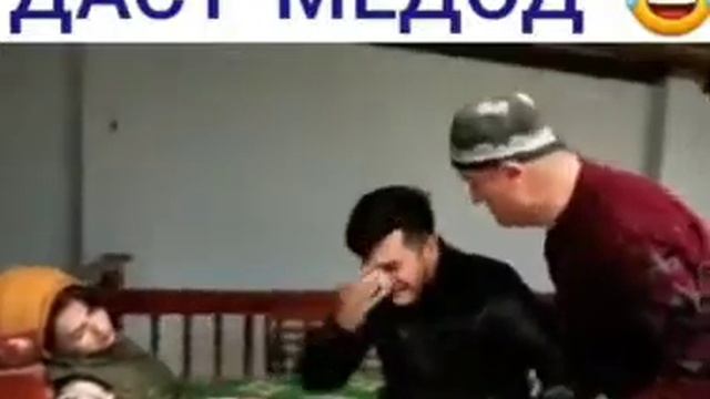 Занша ай даст медод кариб