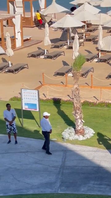 Animation team. Hotel Rixos Premium Magawish. Egypt. Hurghada. Египет. Отель Риксос. Хургада. смотреть онлайн