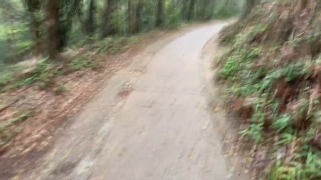 Тропа мудрости в горах Гонконга