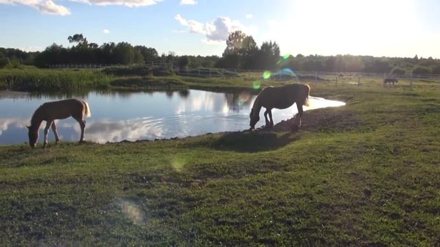 Рок-баллада о мире и тишине