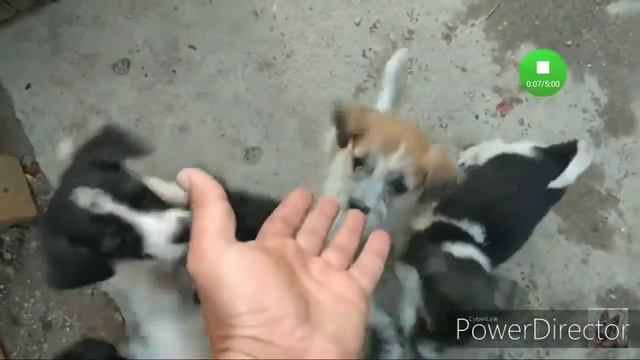 ✨ Прошу всех посмотреть это видео ✨