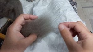 Работа с пухом. совет по переработке и прядению