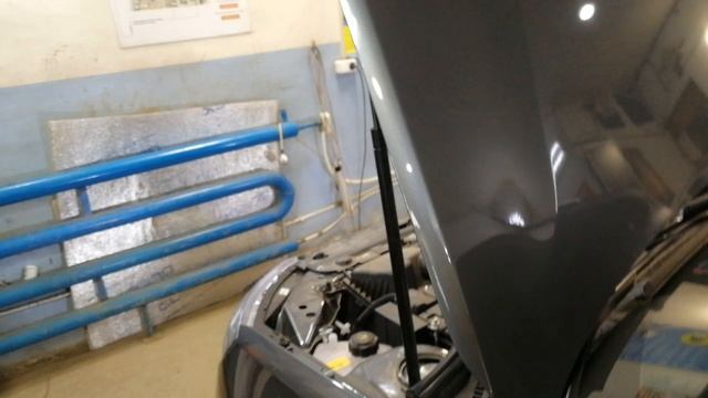 туманки и мини линзы на гранту фл