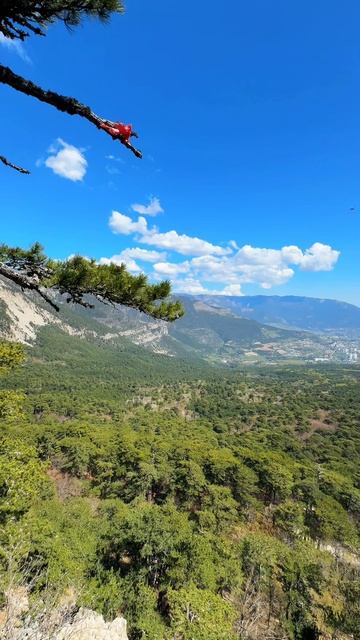 Серебряная беседка Крым. Достопримечательность в Ялте #ялта #крым #крымсегодня смотреть онлайн