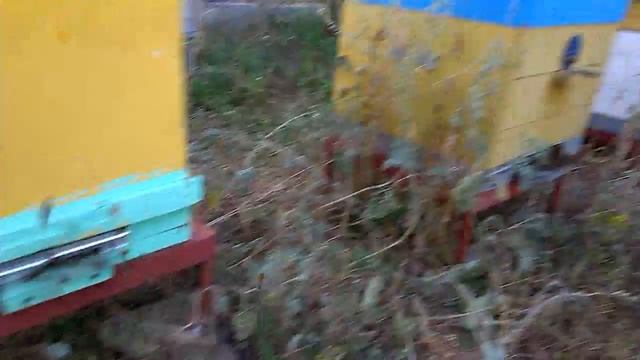 Обсушка рамок