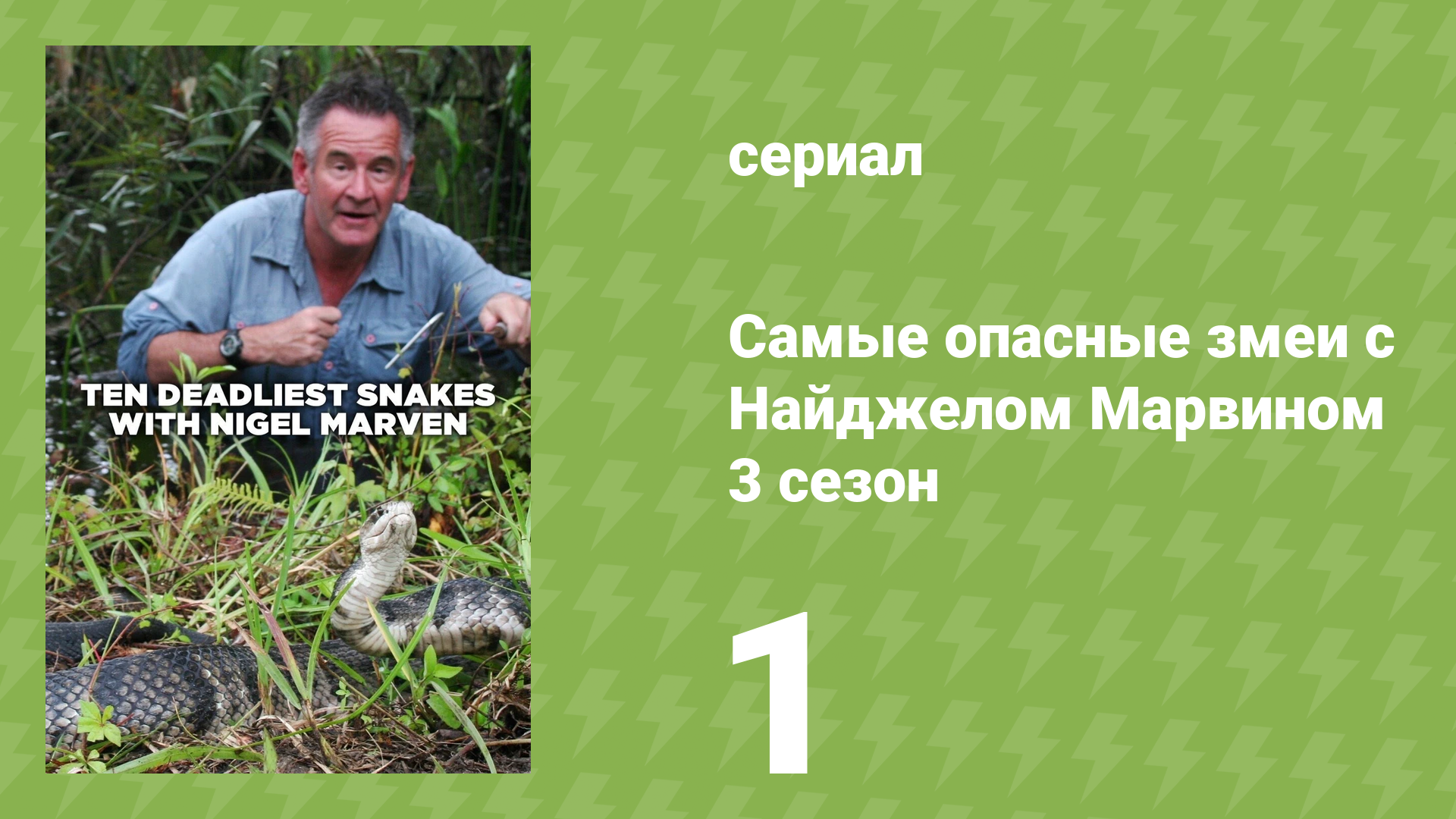 Самые опасные змеи с Найджелом Марвином 3 сезон 1 серия «Филиппины» (документальный сериал, 2017)