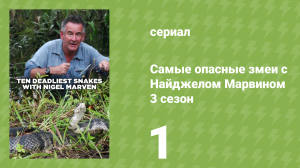 Самые опасные змеи с Найджелом Марвином 3 сезон 1 серия «Филиппины» (документальный сериал, 2017)