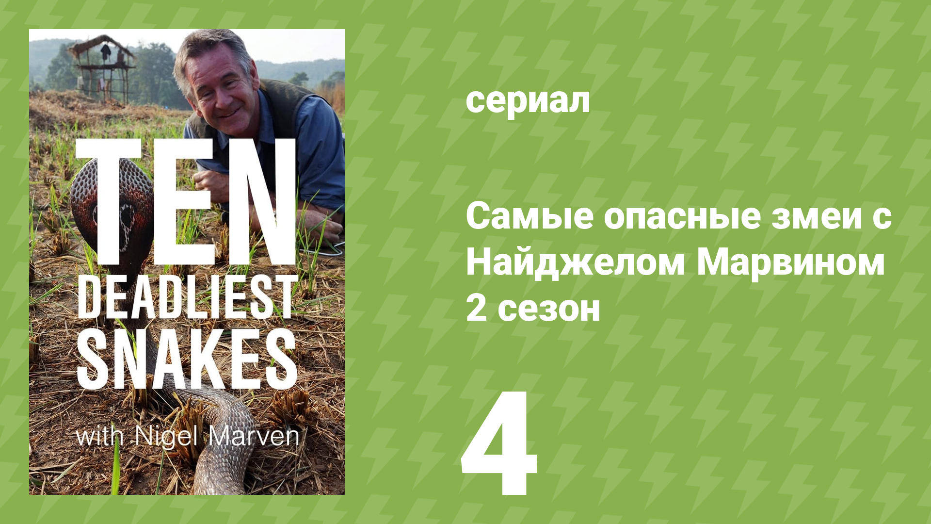 Самые опасные змеи с Найджелом Марвином 2 сезон 4 серия «Европа» (документальный сериал, 2015)