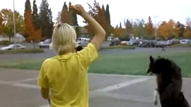 Слон смотреть онлайн