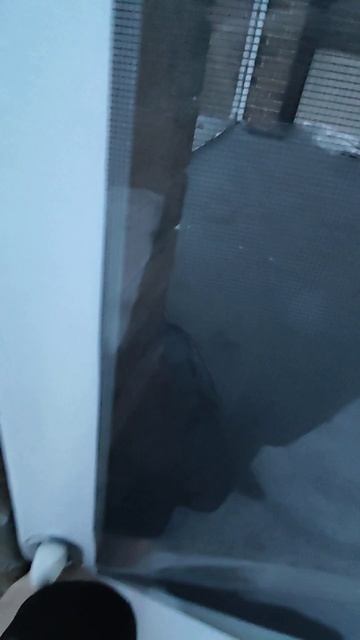 19 марта 2023 г.