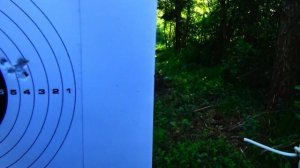 Kral Arms Jmbo test H&N SulgHP 50 метров