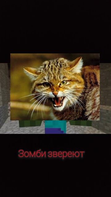 "За тобой цветы" , но фото из гугл. #шортс #майнкрафт #minecr смотреть онлайн