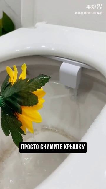 Туалетная бумага - всё 🥲 смотреть онлайн