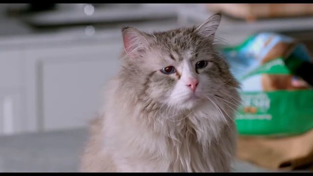 9-ть жизнейHD смотреть онлайн