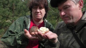 УШЛИ С ЖЕНОЙ ДАЛЕКО В ЛЕС! И попали в грибной рай! ГРИБЫ И ЛЕС!