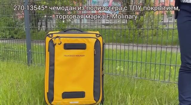 270-13545_ наборы чемоданов торговая марка F.Molinary (тестирование на водонепроницаемость) смотреть онлайн