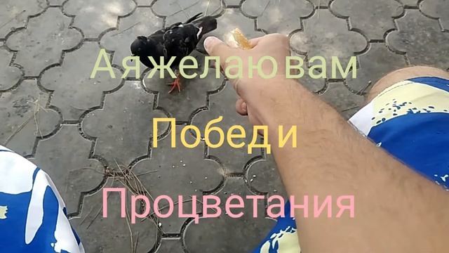 Поздравляю с днем рождения "сеть связи" смотреть онлайн