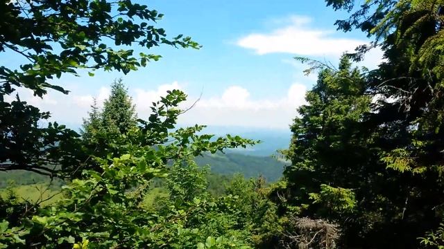 Пікуй 02.07.2016р.