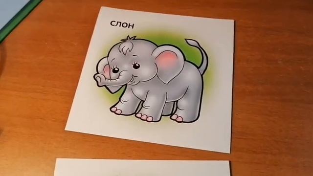 Средняя группа английский 16.04 смотреть онлайн