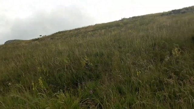 Ангарский перевал - Чатыр-Даг смотреть онлайн