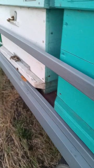 12 января 2024 г. смотреть онлайн