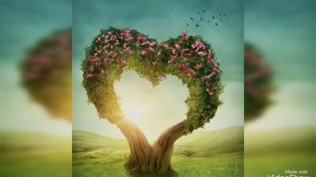 Счастья нет, оно не может быть.