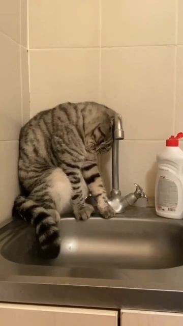 Состояние на 2024 год #вселенная #2025год #спокойствие смотреть онлайн