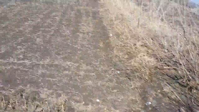 мой паркур я ещё не мастер по паркуру смотреть онлайн