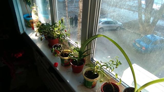 Утреннее настроение (Moorning Mood) Мелодия музыка