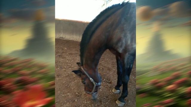 2022 ГОД Осиновая роща
подборка фото