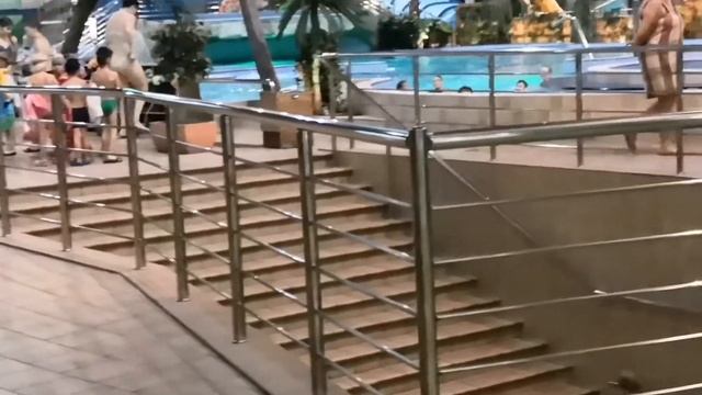 Аквапарк про бассейн, про водные программы, про дельфи смотреть онлайн