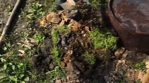 Счастливые люди | Енисей | Лето | 2 серия HD #топ Д Васюков