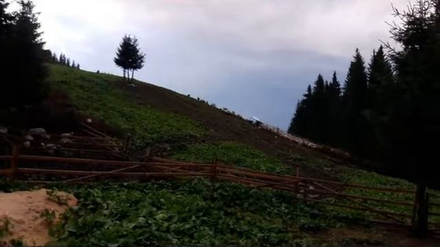 Карпаты Межгорье, Говерла. август 2016 смотреть онлайн