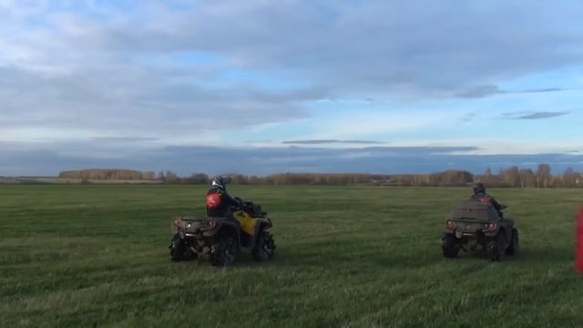 Странный Кот. смотреть онлайн