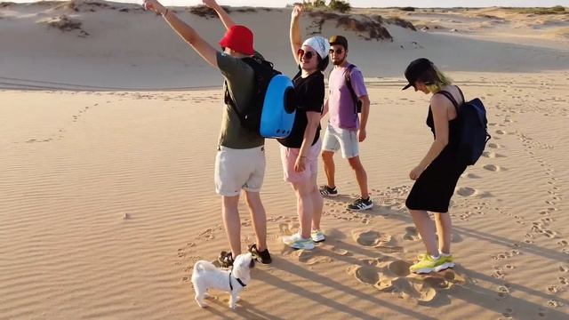 Олешківські піски ⏳ смотреть онлайн