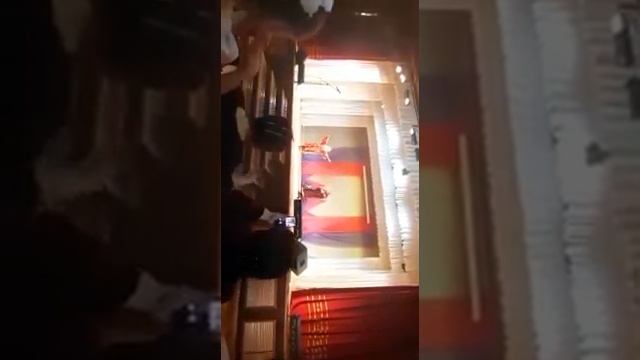 Мариян алилова смотреть онлайн