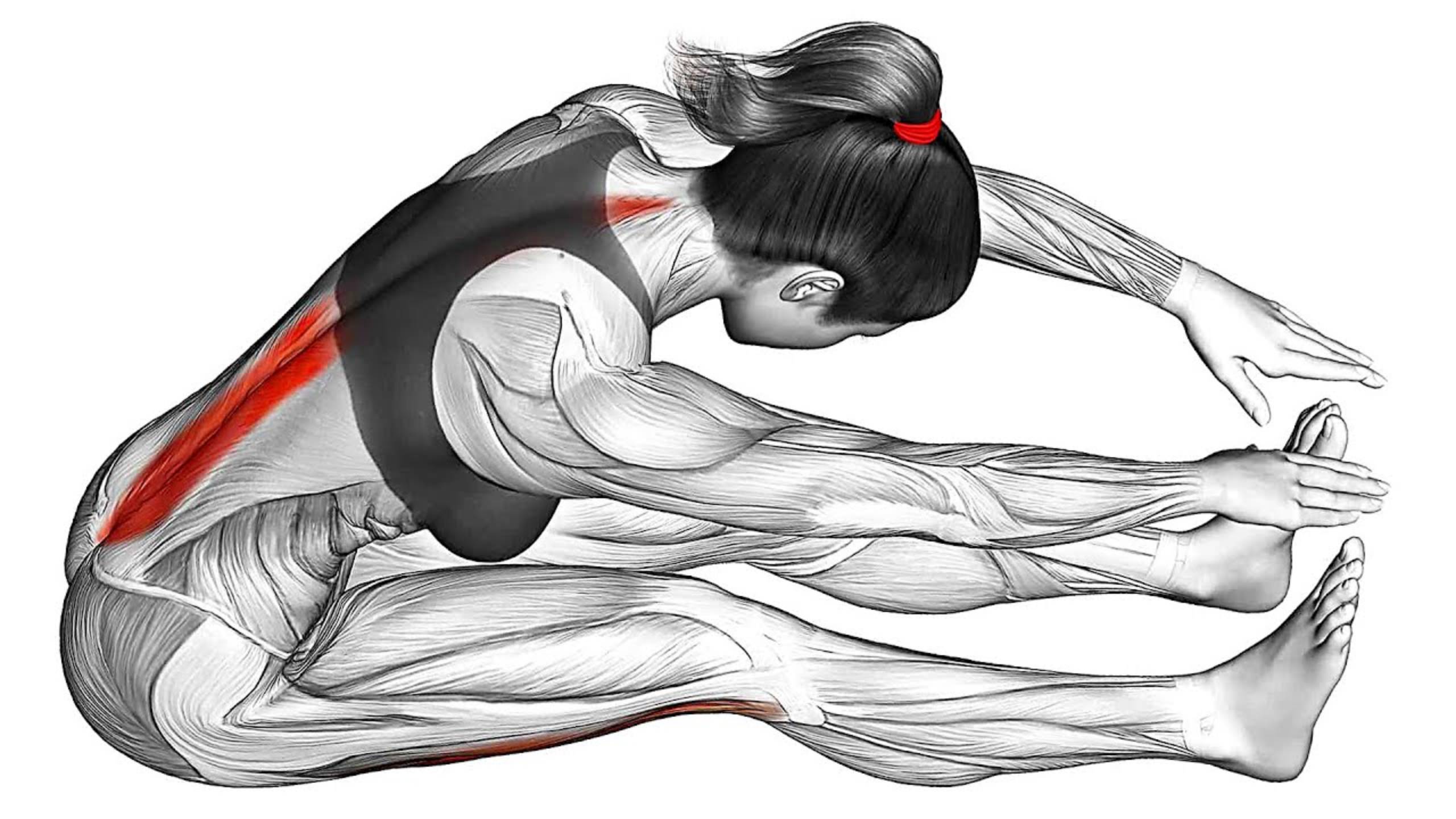 Сделайте это перед Сном и Похудейте во время Сна смотреть онлайн