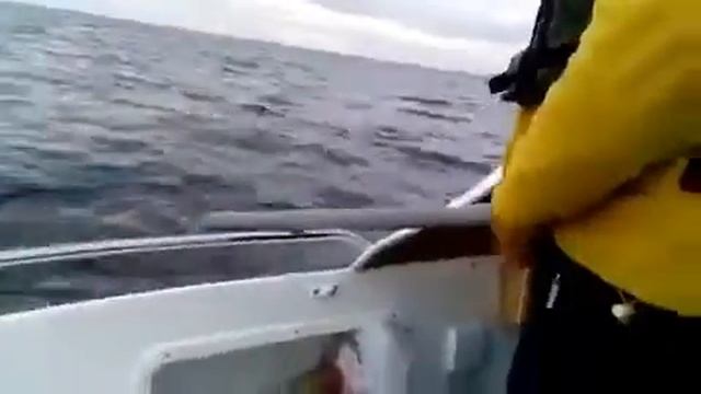 Интересные и позитивные видео и фото...